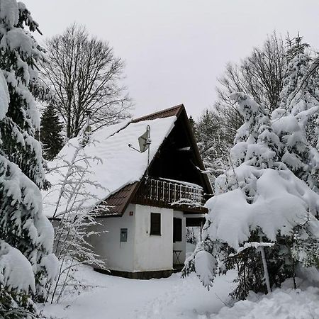 Villa Koca Kresnica Ilirska Bistrica Exterior foto