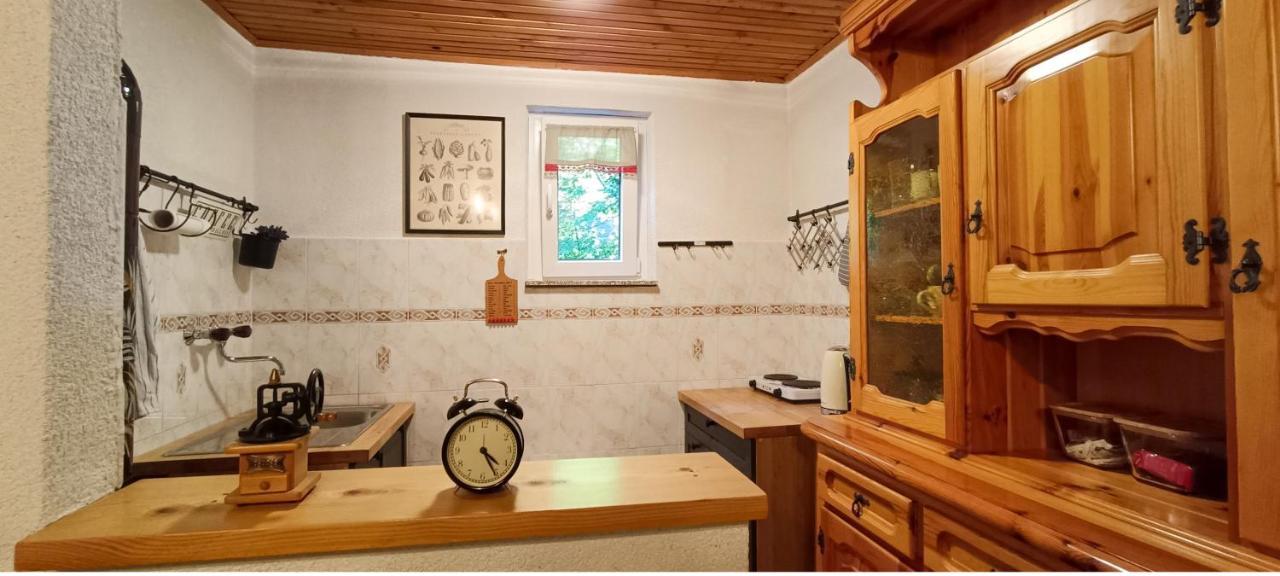 Villa Koca Kresnica Ilirska Bistrica Exterior foto