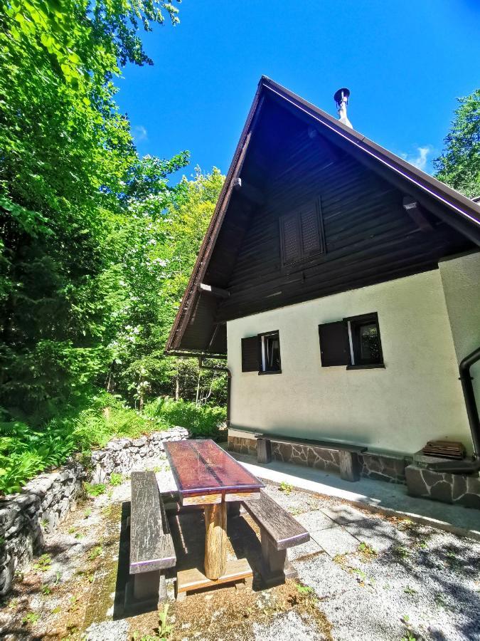 Villa Koca Kresnica Ilirska Bistrica Exterior foto