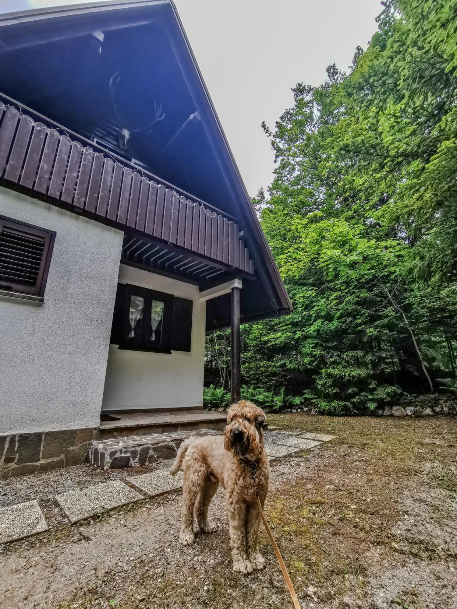 Villa Koca Kresnica Ilirska Bistrica Exterior foto
